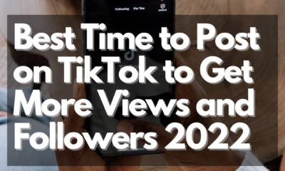 Best Time to Post on TikTok_Net Influencer