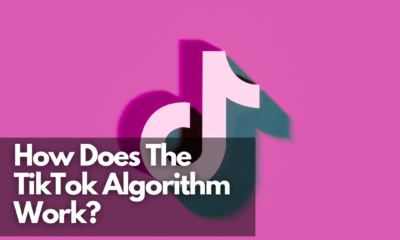How Does The TikTok Algorithm Work? - Net Influencer