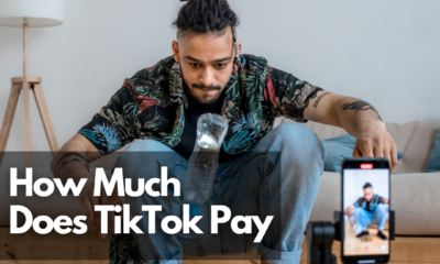 How Much Does TikTok Pay - Net Influencer