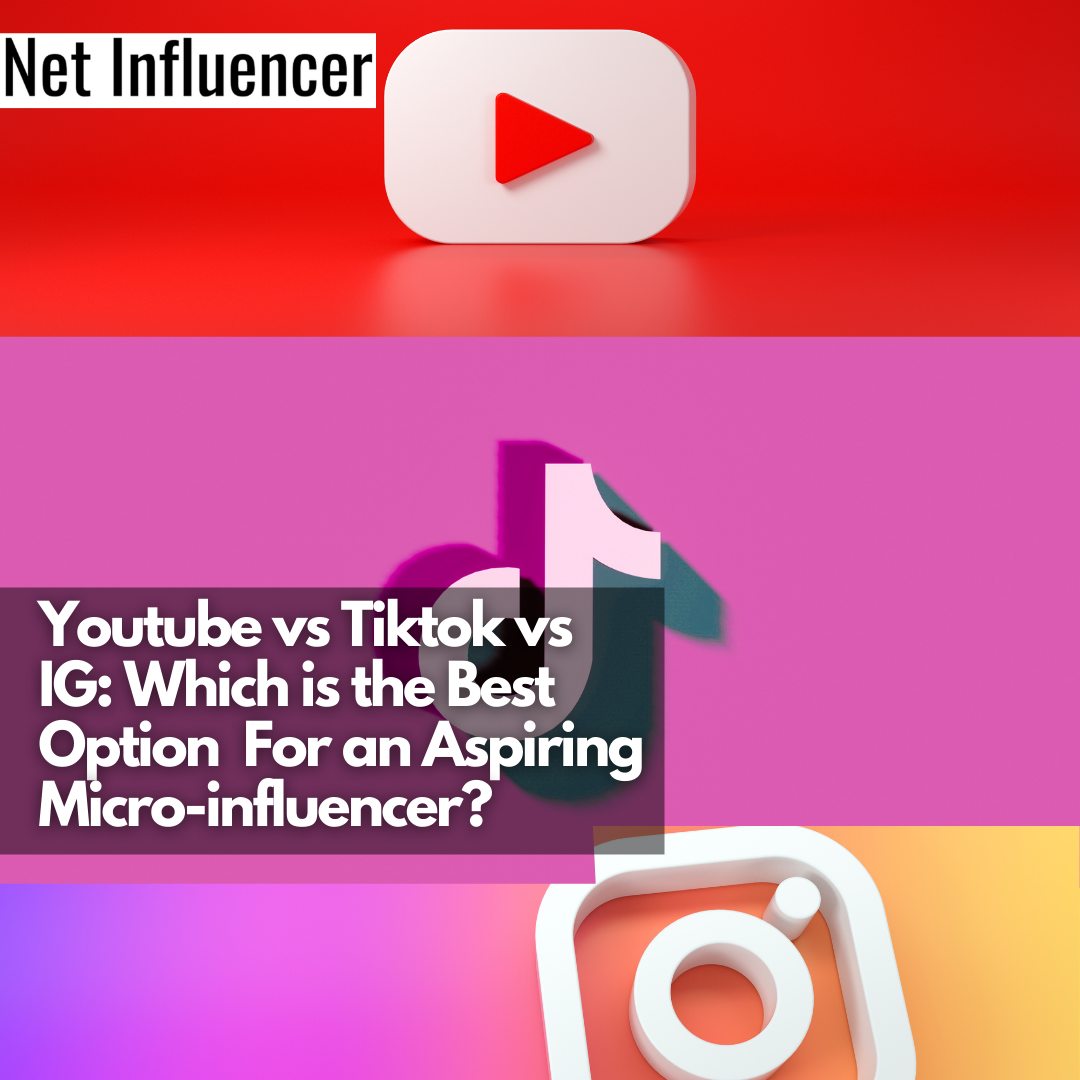 Youtube vs Tiktok vs IG: Which is the Best Option For an Aspiring Micro-influencer? - Net Influencer