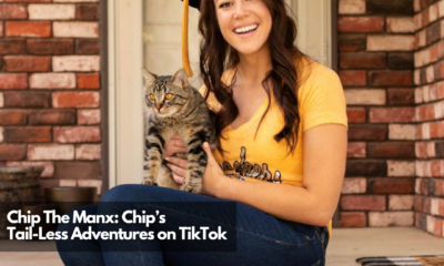 Chip The Manx Chip’s Tail-Less Adventures on TikTok