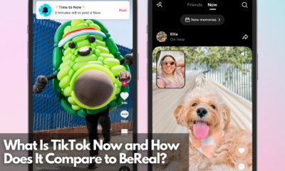 What Is TikTok Now and How Does It Compare to BeReal