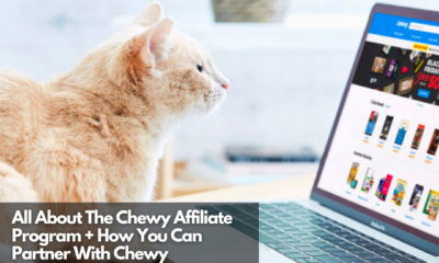 All About The Chewy Affiliate Program + How You Can Partner With Chewy