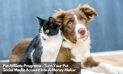 Pet Affiliate Programs - Turn Your Pet Social Media Account Into A Money Maker