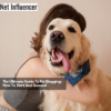 The Ultimate Guide To Pet Blogging How To Start And Succeed