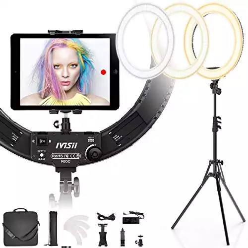 IVISII 19 inch Ring Light with Stand and Phone Holder