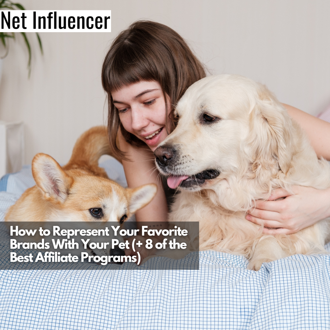 How to Represent Your Favorite Brands With Your Pet (+ 8 of the Best Affiliate Programs)The Best Free Social Media Analytics Tools for Measuring Your Success