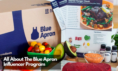 All About The Blue Apron Influencer Program