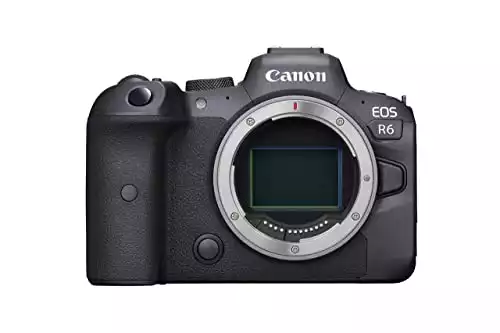 Canon EOS R6 Full-Frame Mirrorless Camera