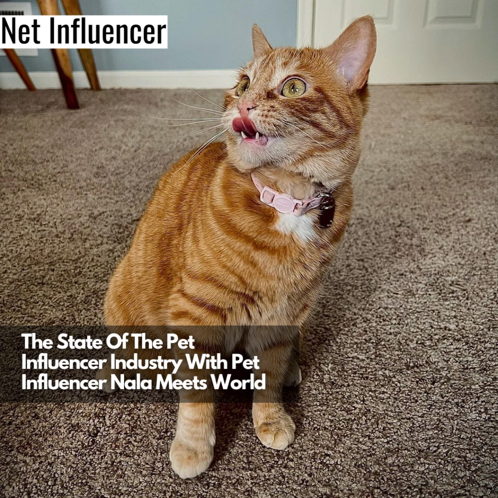 Influencer Nala Meets World Ellen Bieber The State Of The Pet