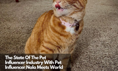 The State Of The Pet Influencer Industry With Pet Influencer Nala Meets World (1)
