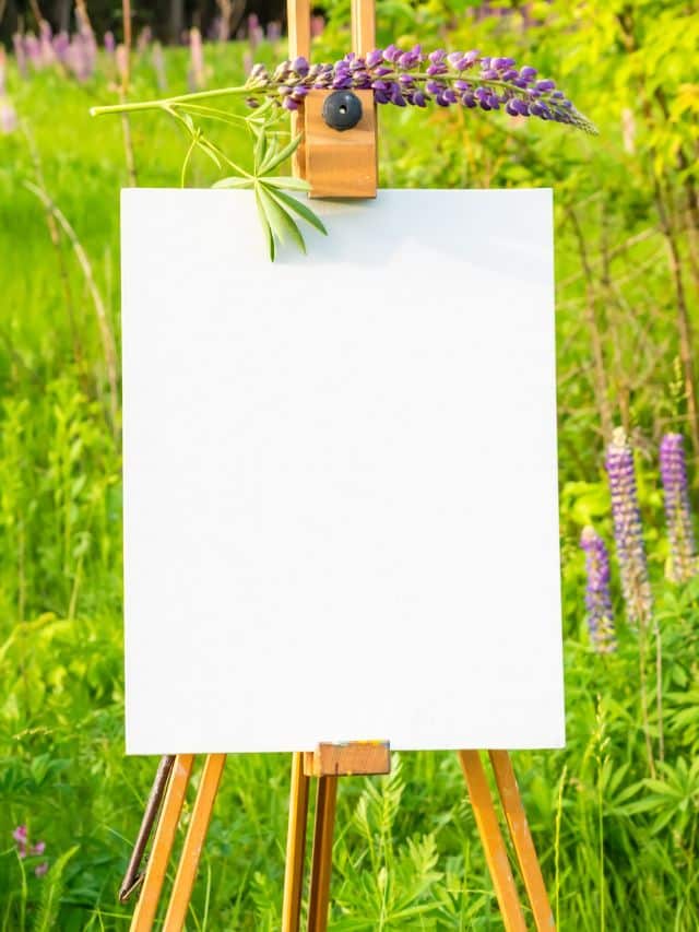 Best Easels For Painting