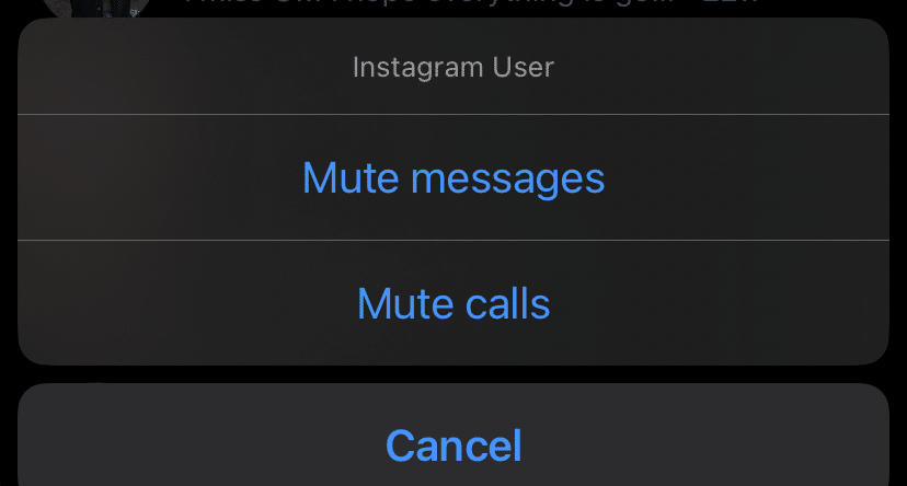 What Does Muting Someone On Instagram Do?