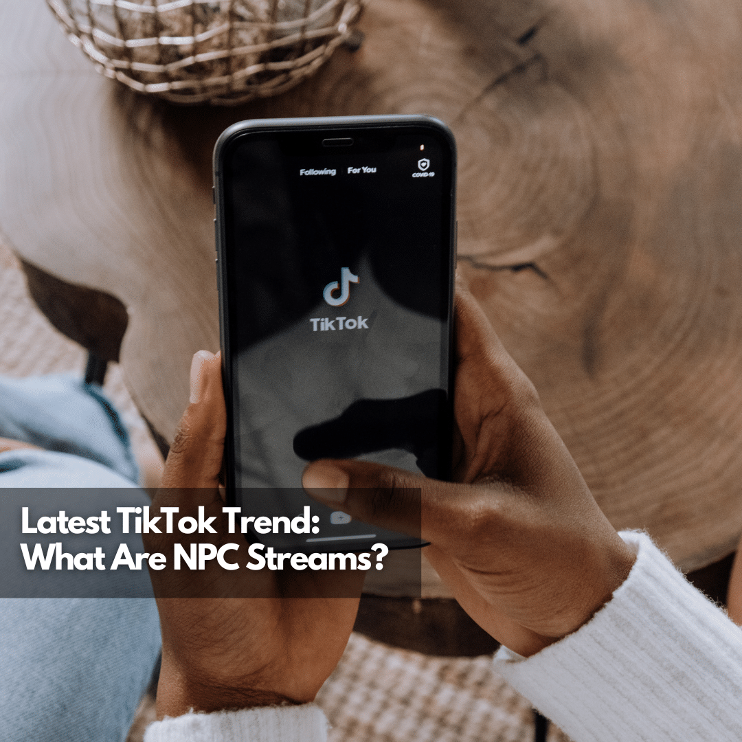 Latest TikTok Trend What Are NPC Streams