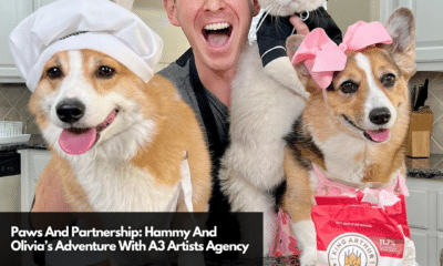 Paws And Partnership Hammy And Olivia’s Adventure With A3 Artists Agency