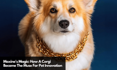 Maxine's Magic How A Corgi Became The Muse For Pet Innovation