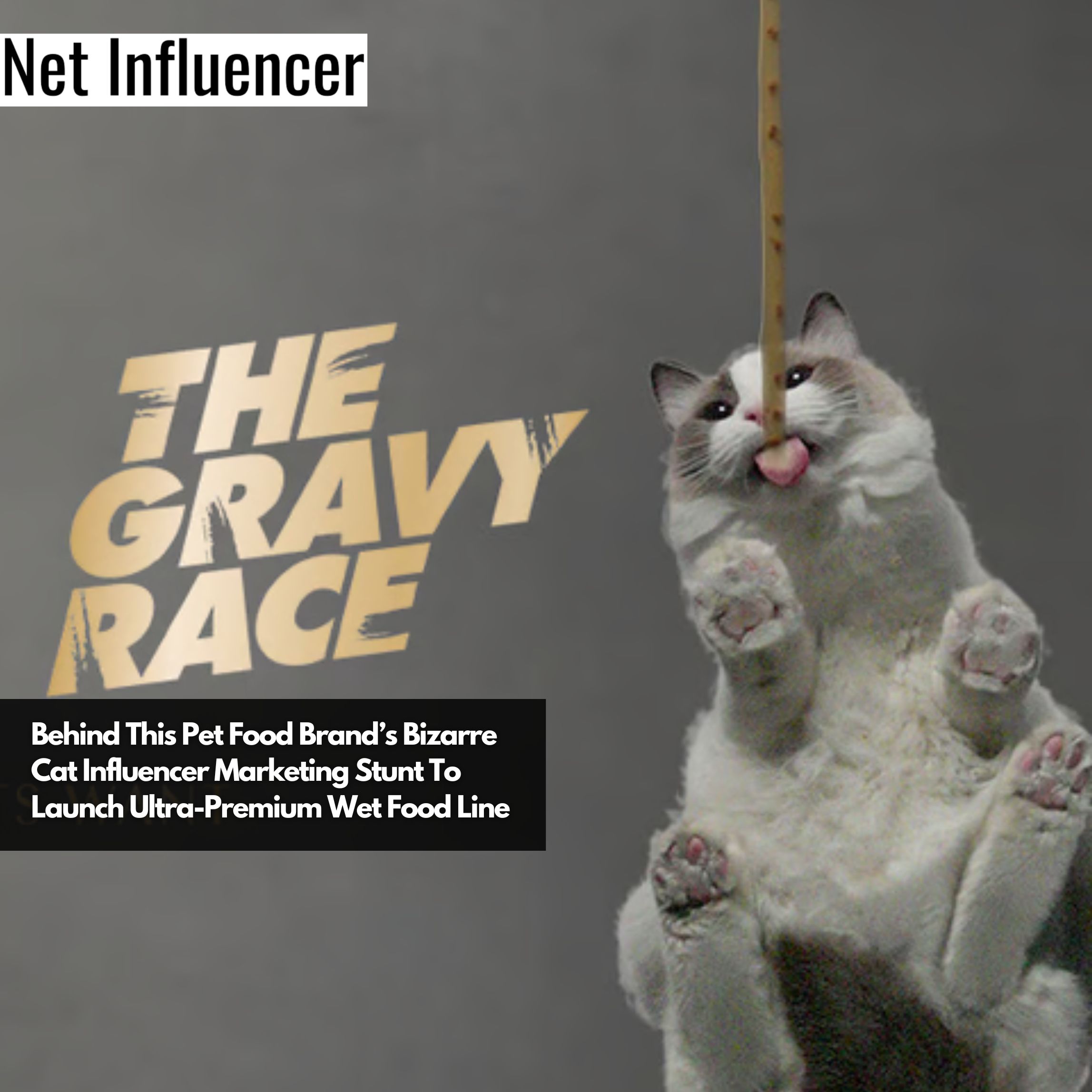 Behind This Pet Food Brand’s Bizarre Cat Influencer Marketing Stunt To Launch Ultra-Premium Wet Food Line (1)