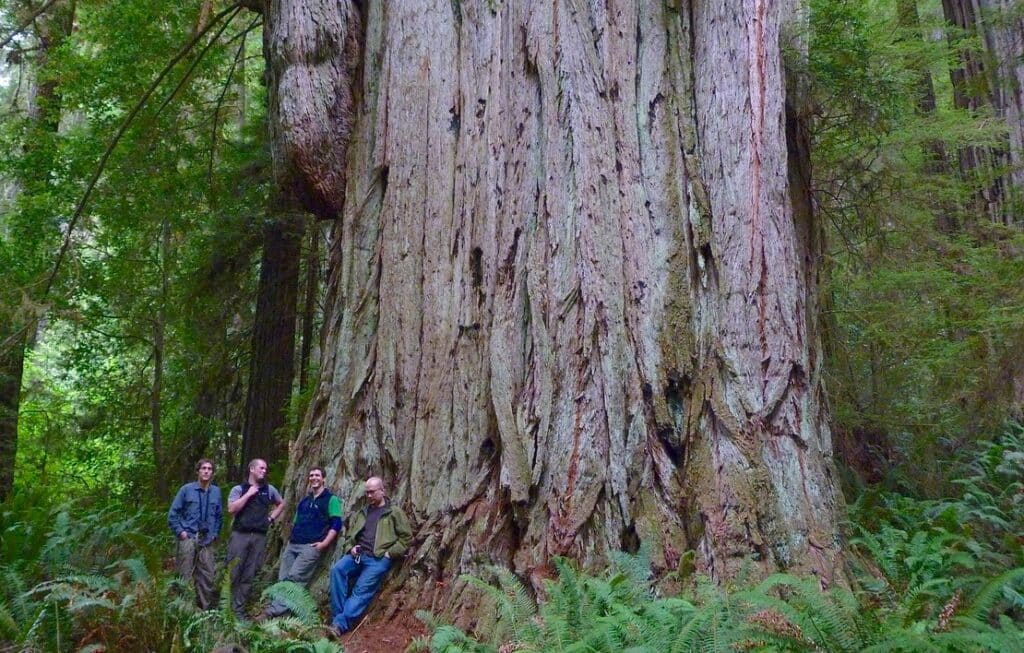 TheFlow Founder Michael Hanuschik On Designing A Healthy Ecosystem For The Creator Economy