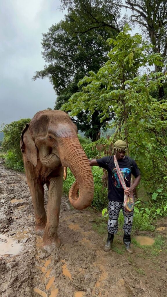 Mamadou Ndiaye Built ‘Casual Geographic’ By Making Nature Funny, Then Making It Matter