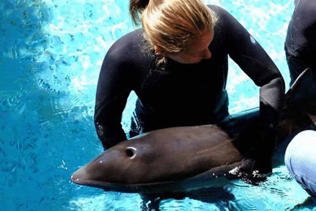 KPassionate: How Kristyn Plancarte Turned Marine Biology Into A Content Creator Platform