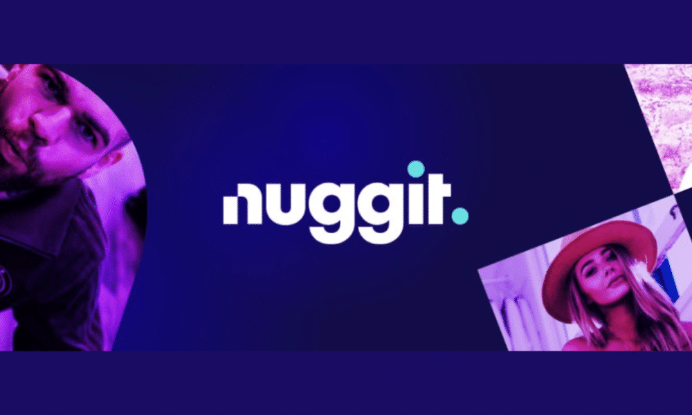 nuggetnoggin net worth